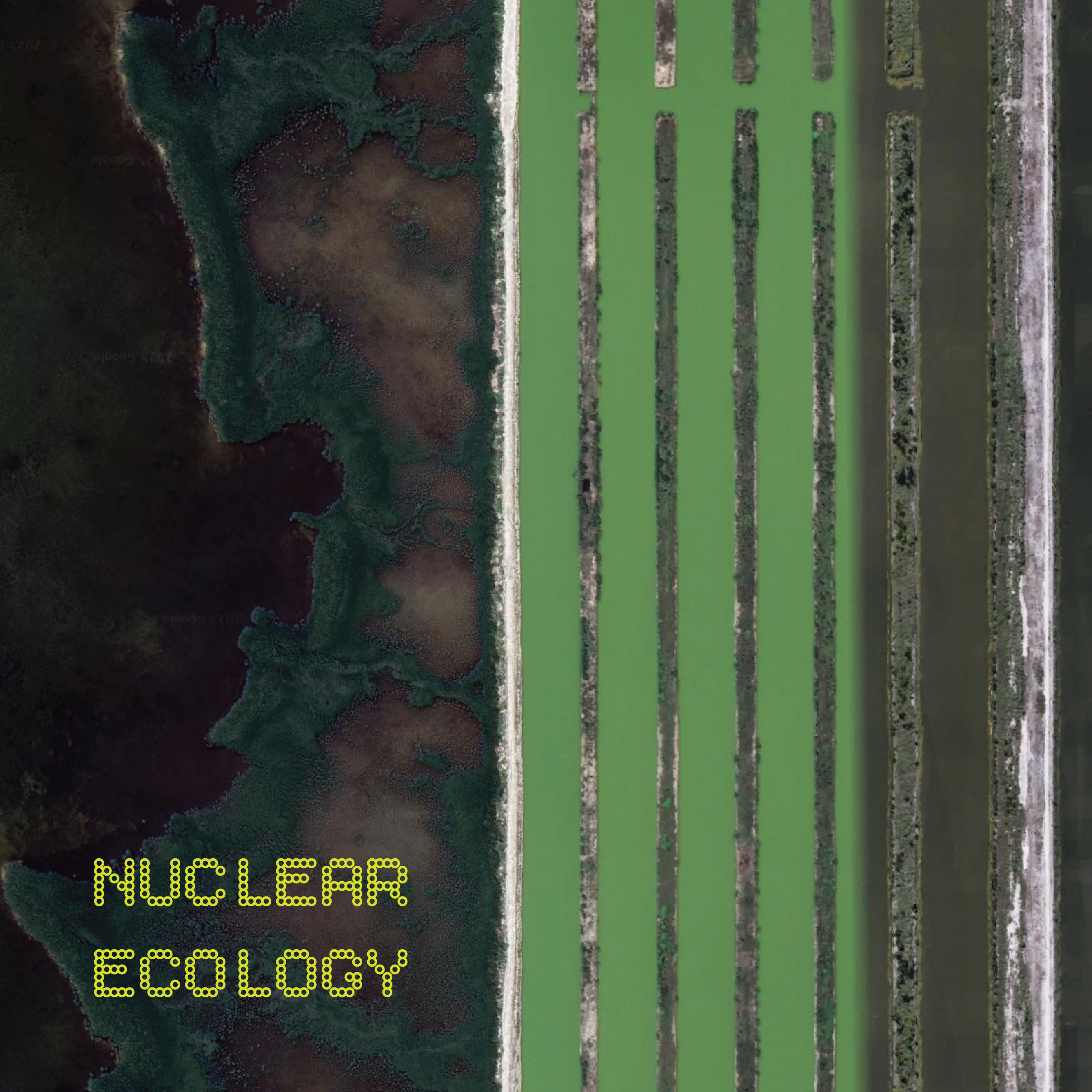 Nuclear Ecology: Data Voids of Turkey Point Nuclear Generating Station